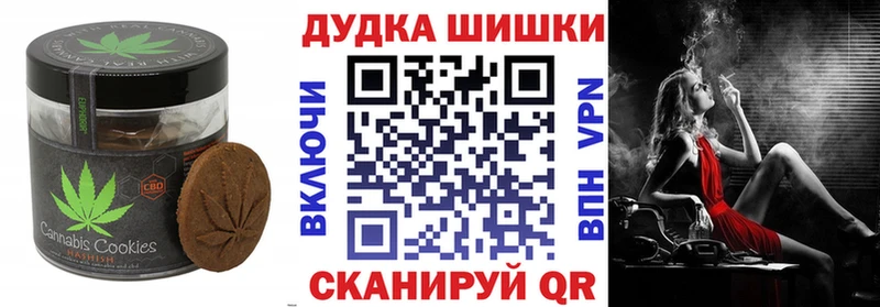 Canna-Cookies марихуана  Купить закладки  Ясногорск 