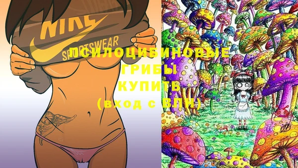 a pvp Снежногорск