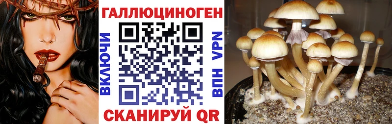 Псилоцибиновые грибы прущие грибы  Купить закладки  Ясногорск 